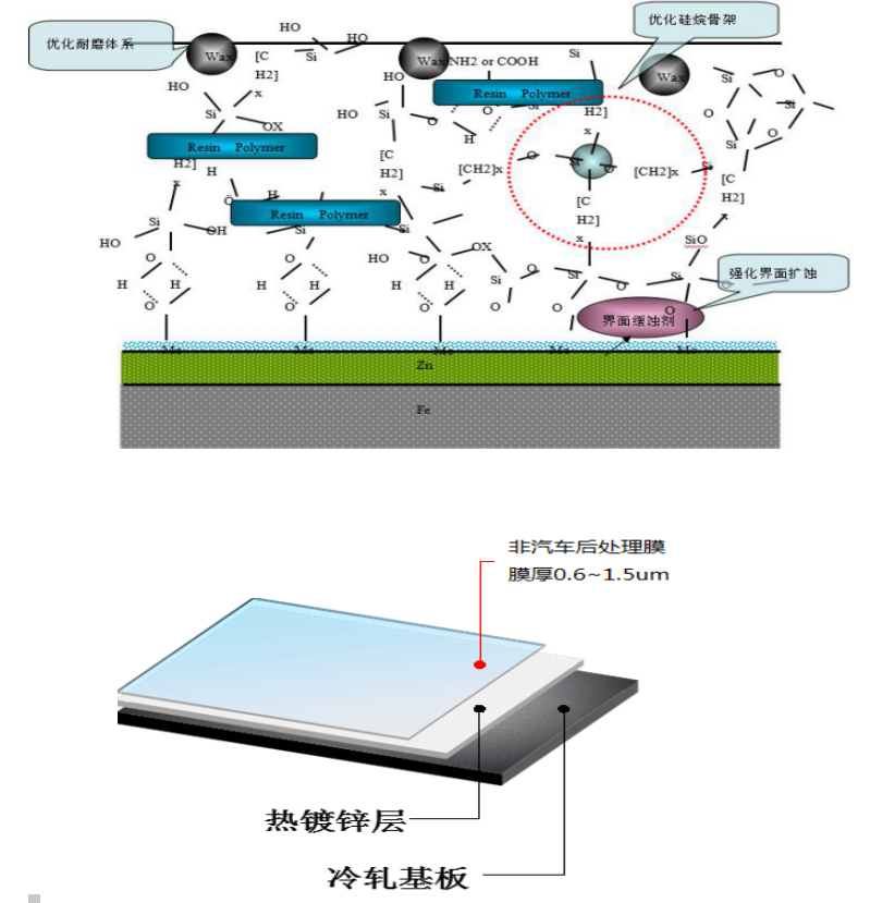 膜结构图和断面示意图